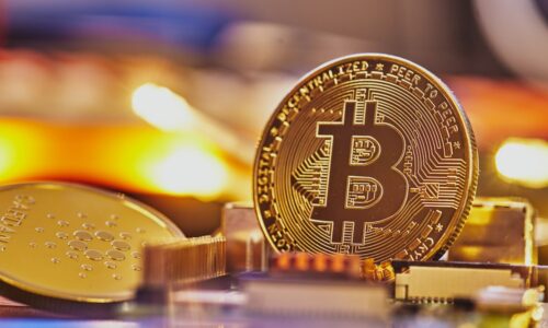 Vocational Certiﬁcate in Blockchain Technology