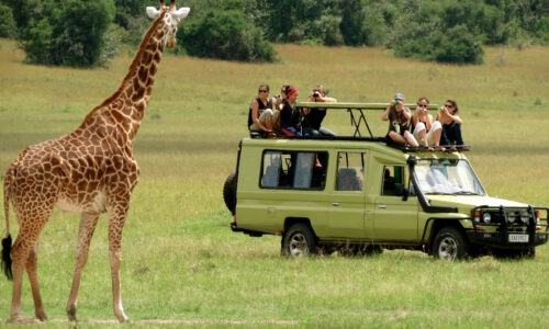 Certificate in Tourism Management – PUEA